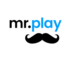 Mr. Play logo with a black mustache graphic below the text.
